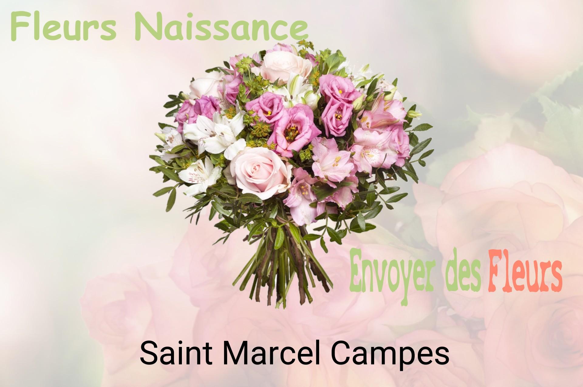 Bouquet de fleurs de naissance livré à Saint-Marcel-Campes